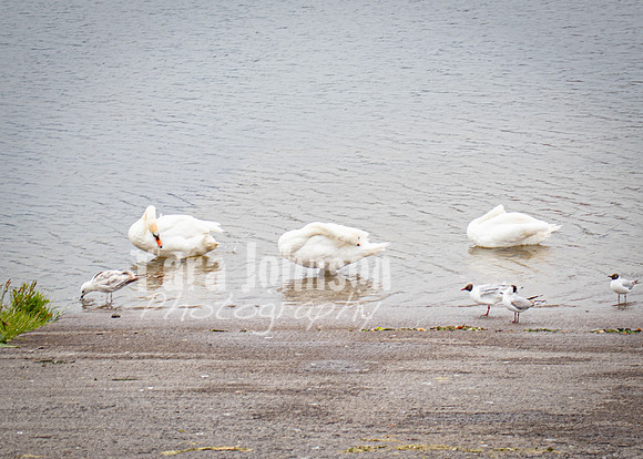 Galway Day Trip - Waterfront View (104 of 104)