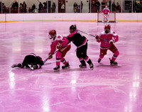 2025 Pink in the Rink - EL (6 of 15)