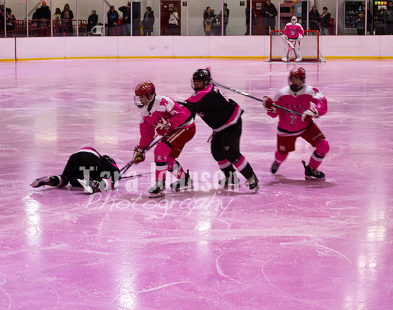 2025 Pink in the Rink - EL (6 of 15)