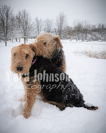 Woodrow & Lilly - TJP (21 of 64)