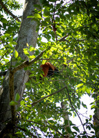 Dublin Zoo Trip (9 of 36)