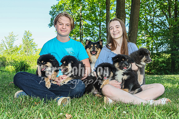 Bryde Family & Finish Lapphund Pups - TJP (35 of 60)