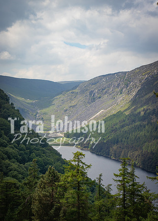 Glendalough Field Trip (112 of 117)