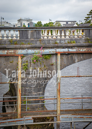 Galway Day Trip - Riverside Walk (10 of 57)