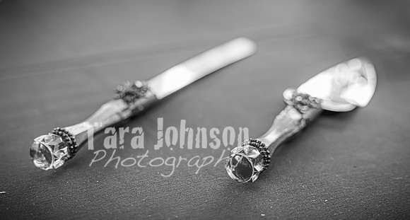 Eric & Elyse -Complete - BW - TJP (2 of 731)
