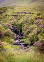 Benbulbin Mountain Trip (3 of 139)