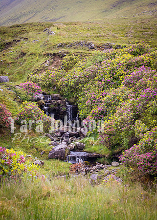 Benbulbin Mountain Trip (3 of 139)
