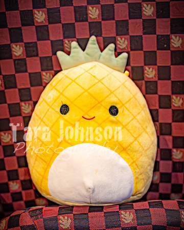 25 MTC - VIP - Candids - TJP (19 of 130)