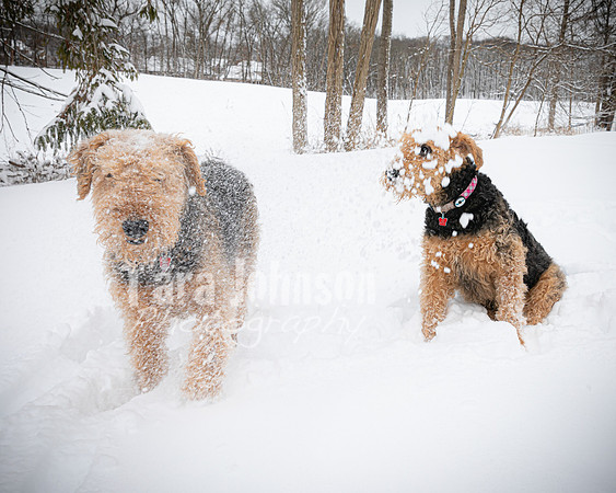 Woodrow & Lilly - TJP (49 of 64)