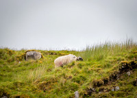 Benbulbin Mountain Trip (11 of 139)