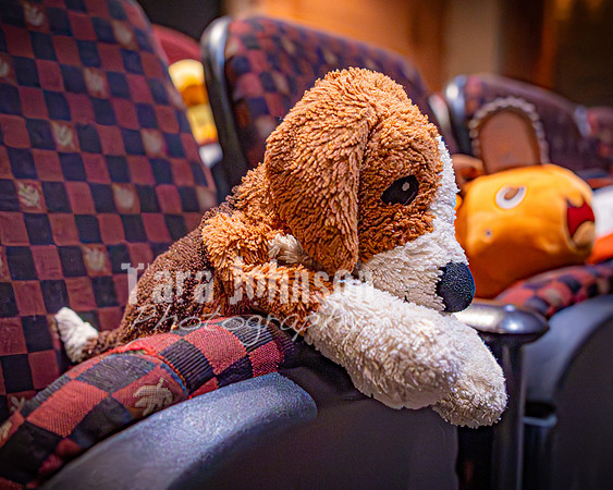 25 MTC - VIP - Candids - TJP (21 of 130)