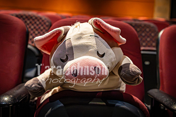 25 MTC - VIP - Candids - TJP (13 of 130)