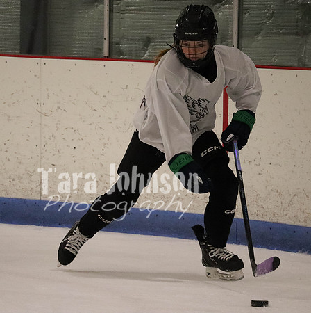 Hockey vs Cancer #2 EDITED (7 of 50)