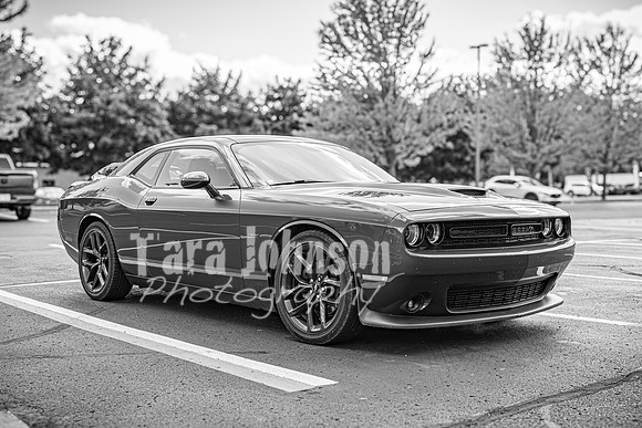 Ron & Michelle - Complete - BW - TJP (183 of 341)