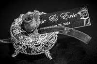 Eric & Elyse -Complete - BW - TJP (9 of 731)