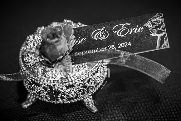 Eric & Elyse -Complete - BW - TJP (9 of 731)