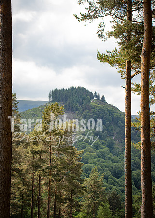 Glendalough Field Trip (110 of 117)